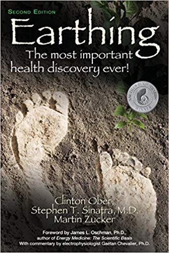Earthing: The Most Important Health Discovery Ever! (second edition)